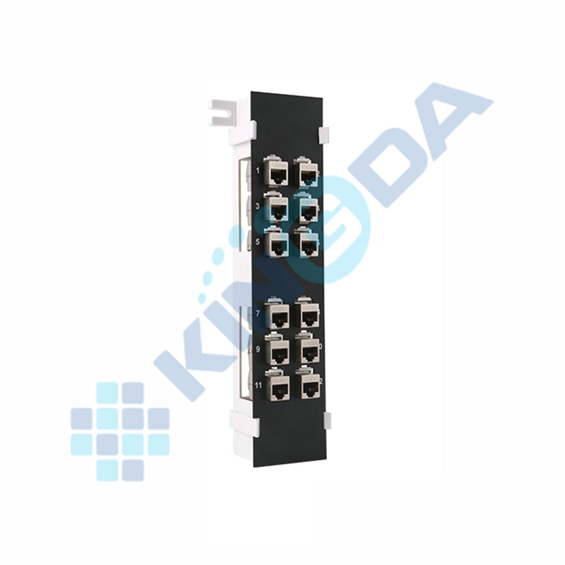 Wall-Mount Type Blank Patch Panel 12 Ports